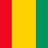 044.Gvineja