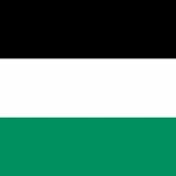 134.Palestina