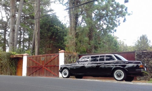 CENTRALAMERICACOUNTRYESTATE.MERCEDES300DLANGLIMOUSINE.39a74.jpg